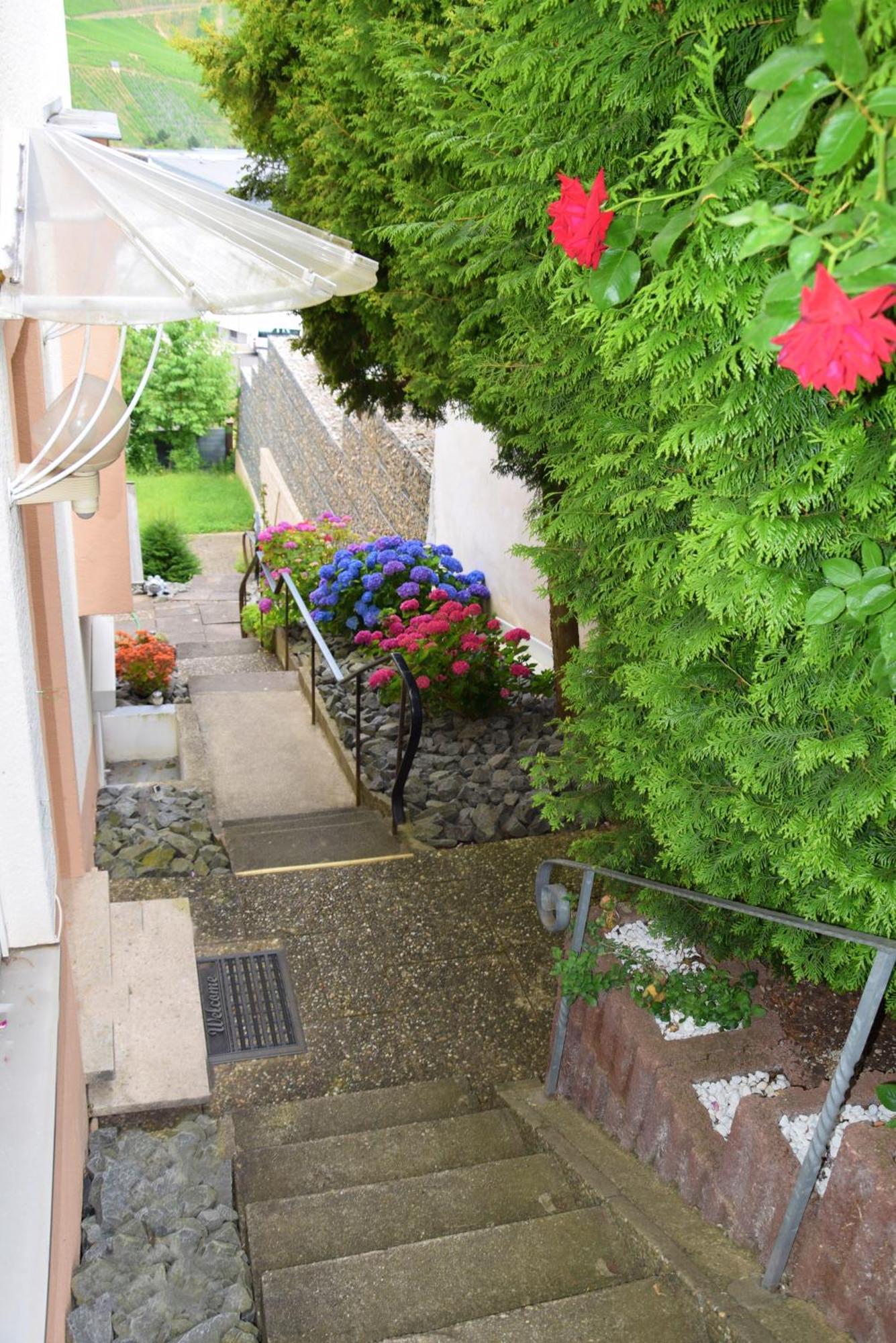 Haus Constanze Apartment Bernkastel-Kues Bagian luar foto